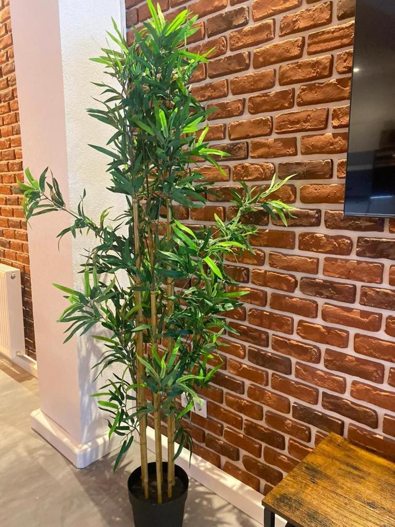 Luxurioese Loft Mit Garten Naehe Duesseldorf Messe Krefeld Dış mekan fotoğraf