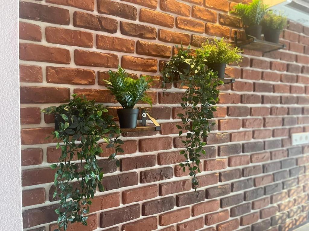 Luxurioese Loft Mit Garten Naehe Duesseldorf Messe Krefeld Dış mekan fotoğraf